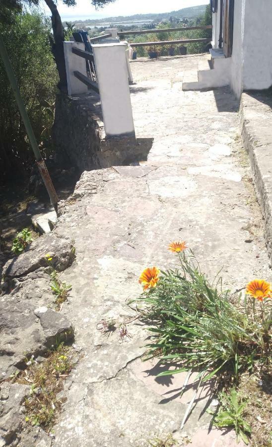 Ca Da Marta Q4526 Villa Carloforte  Dış mekan fotoğraf