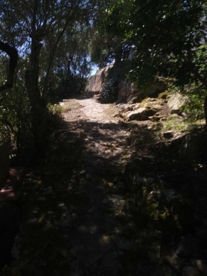 Ca Da Marta Q4526 Villa Carloforte  Dış mekan fotoğraf