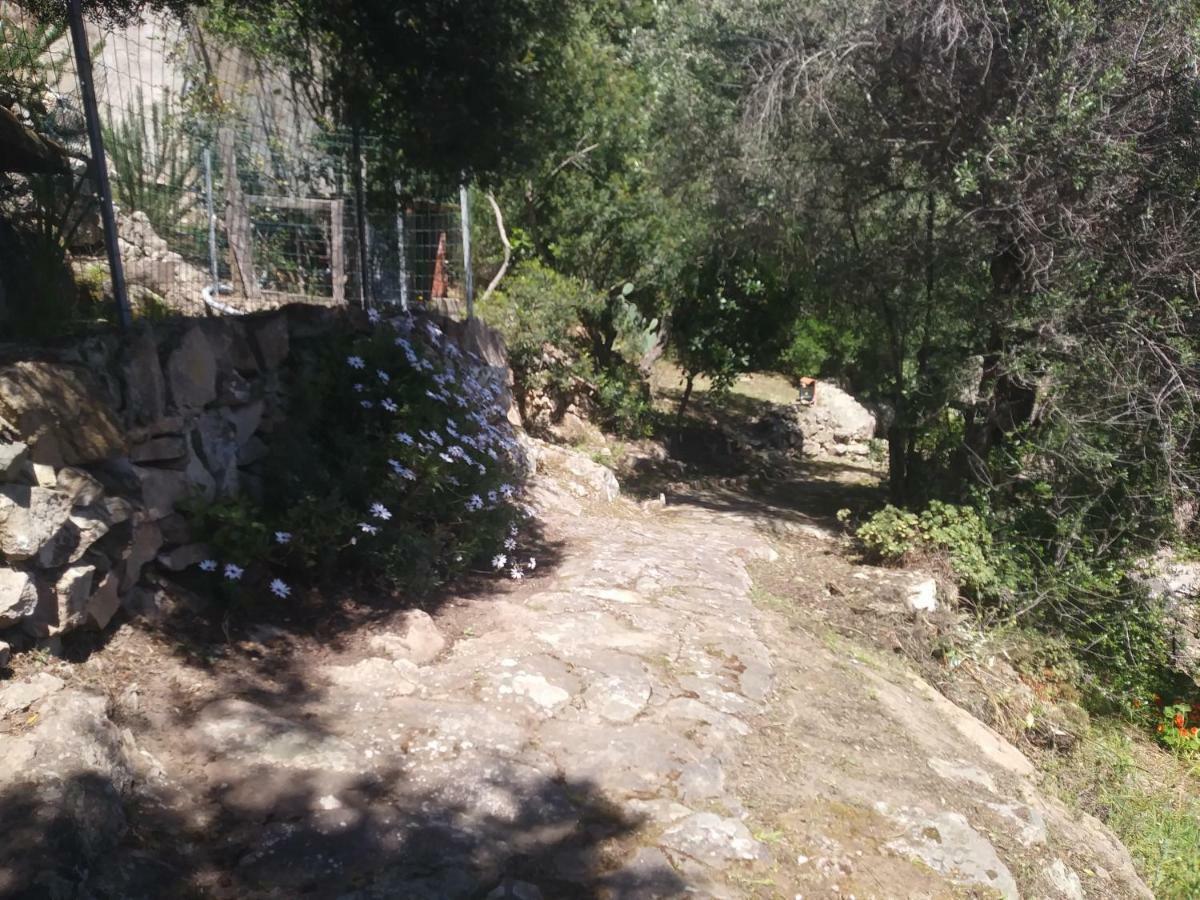 Ca Da Marta Q4526 Villa Carloforte  Dış mekan fotoğraf