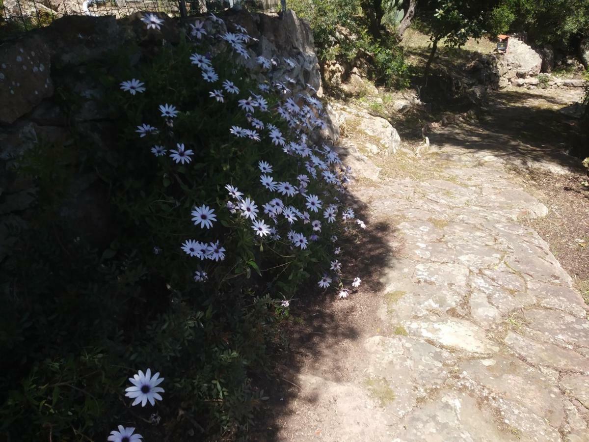 Ca Da Marta Q4526 Villa Carloforte  Dış mekan fotoğraf