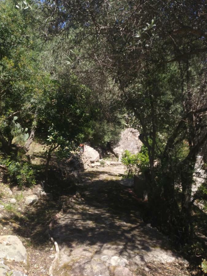 Ca Da Marta Q4526 Villa Carloforte  Dış mekan fotoğraf
